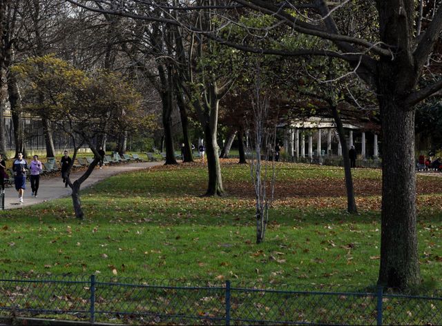 La foudre est arrivée en quelques minutes ce samedi au parc Monceau à Paris