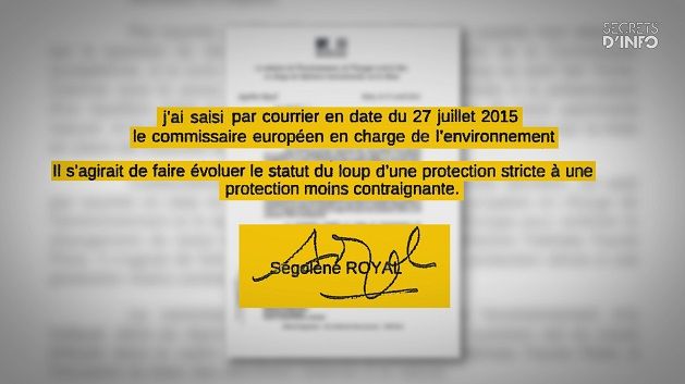 La décision de Ségolène Royal de faire évoluer le statut de protection du loup