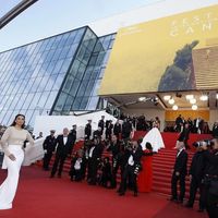 Montée des marches, Cannes 2016