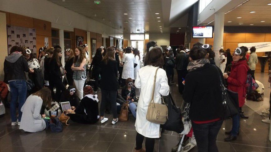 Les étudiants en orthophonie protestent contre la précarisation de leur métier