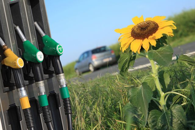 Les biocarburants mauvais pour l'environnement