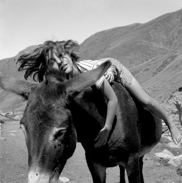 Anne Rearick Pays basque