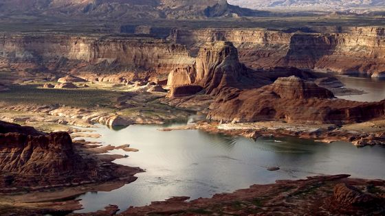Le Lake Powell et la Colorado River se sont asséchés de 50% ©Reuters - Rick Wilking