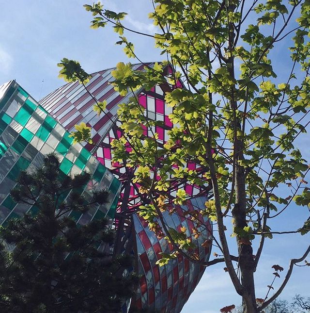 Fondation Vuitton 1