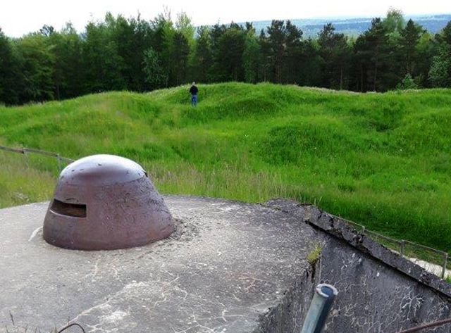 La forêt domaniale de Verdun, vue ici du fort de Douaumont, recouvre aujourd'hui le champ de bataille