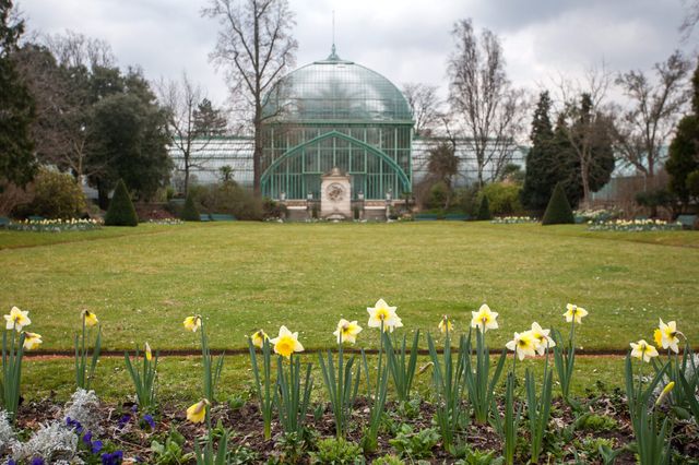 Serres d'Auteuil