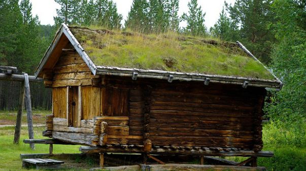 Maison finlandaise et son toit en herbe