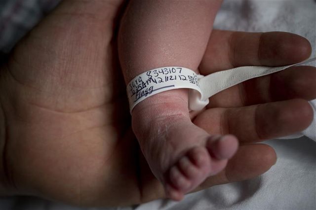 natalité stable au sein de la population française en 2012