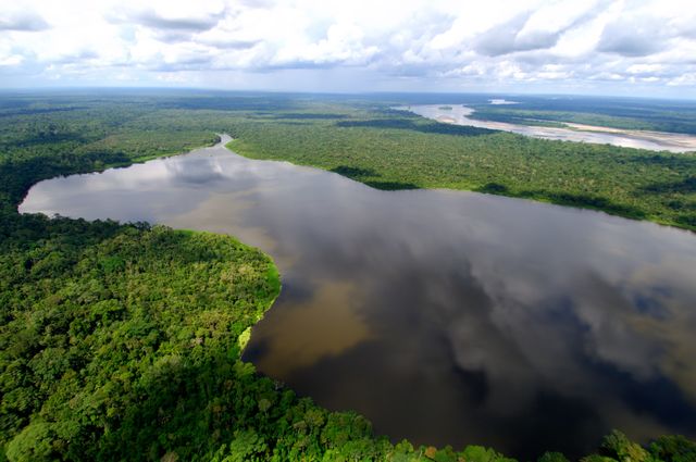 Amazonie