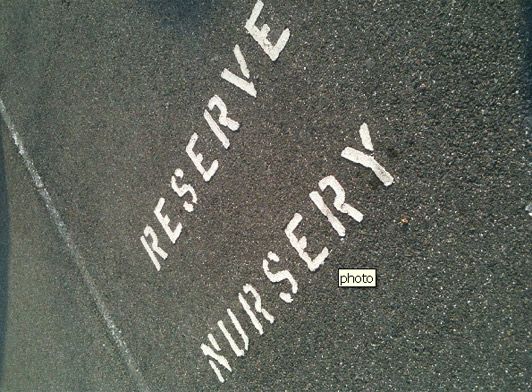 photo1