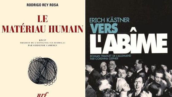"Le Matériau humain" de Rodrigo Rey Rosa, "Vers l'abîme" d'Erich Kästner
