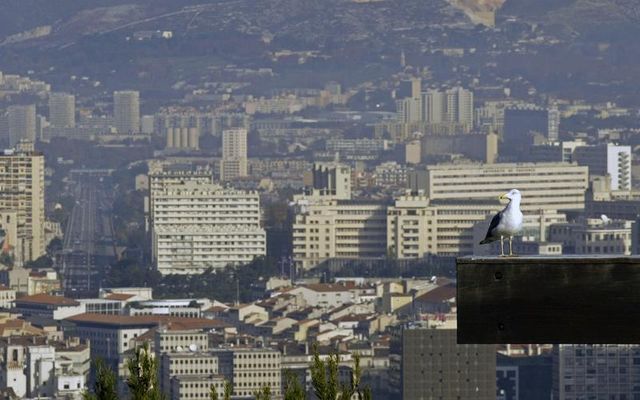 règlement de comptes à marseille