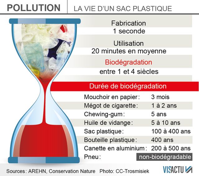 Un sac plastique peut mettre 4 siècles avant de disparaitre dans la nature