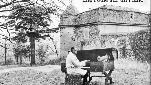 Jazz Culture : Une poule sur le piano de Duke Ellington