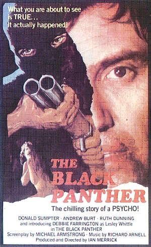 La Panthère noire de Ian Merrick