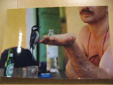 Lionel Lhomme et l'oiseau