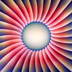 Through the flower - Judy Chicago