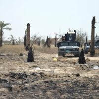 Les forces irakiennes dans un village proche de Fallouja le 5 juin