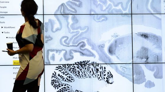 The Human Brain Project ©Maxppp - LAURENT GILLIERON