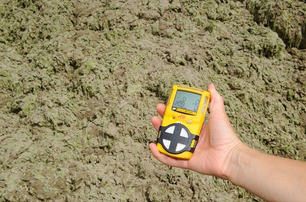 Mesure du taux de sulfure d'hydrogène près d'un tas d'algues vertes