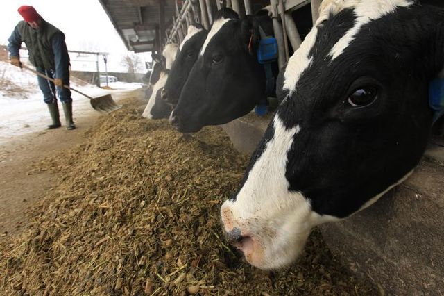 les "farm datings" pour trouver un associé dans l’agriculture