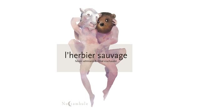 Couverture de L'Herbier sauvage coll Noctambule chez Soleil