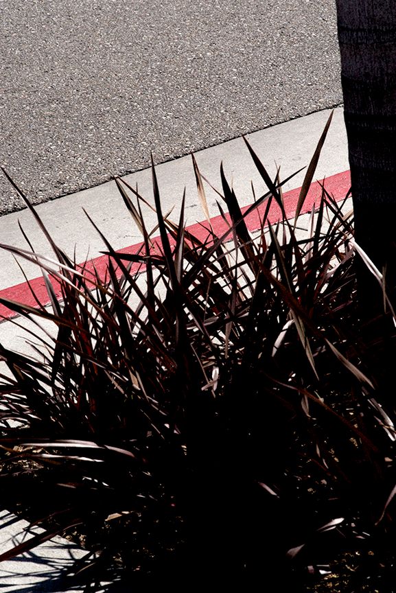 Trottoir et bande rouge, Vertical Horizon © Ralph Gibson