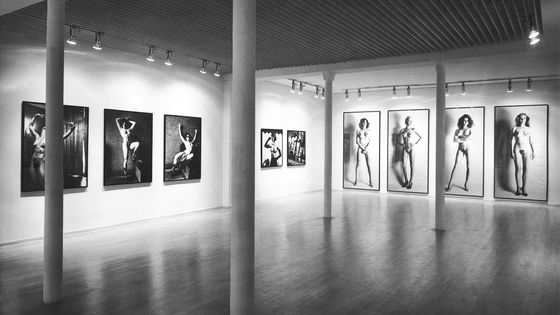 Vue de l'exposition "Grands nus", Helmut Newton, 1981, galerie Daniel Templon - André Morain