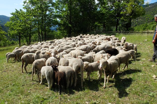 La ferme de Murielle et Stéphane
