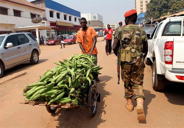 les rebelles du séléka divisés sur la stratégie en centrafrique