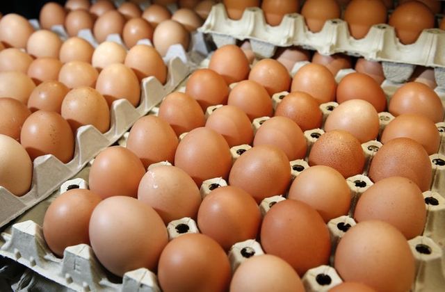 les producteurs d'oeufs bretons suspendent leur action et espèrent un geste de l'état