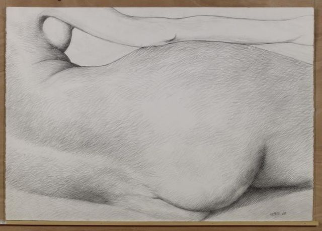 La Grande Odalisque, détail selon Henri Cueco