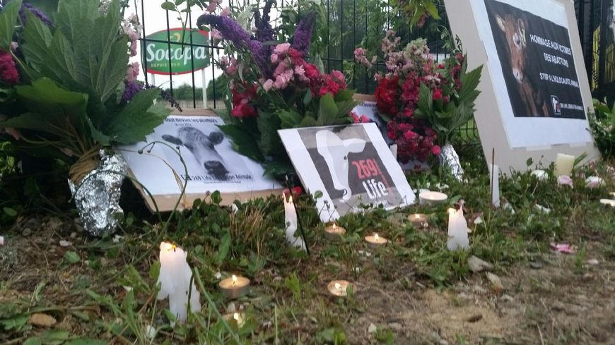 La Nuit Debout se tenait devant l'abattoir Socopa de la Roche sur Yon