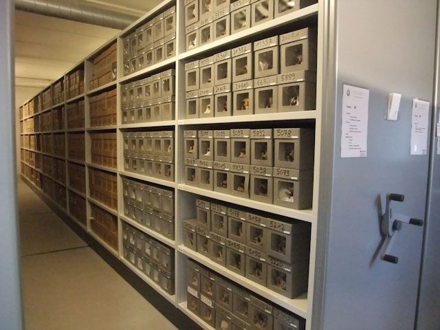 Réserves des restes humains du Musée de l'Homme