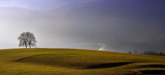 Paysage