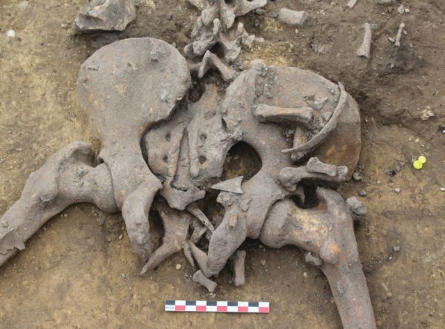 Armature de flèche retrouvée près du bassin de l'un des squelettes.