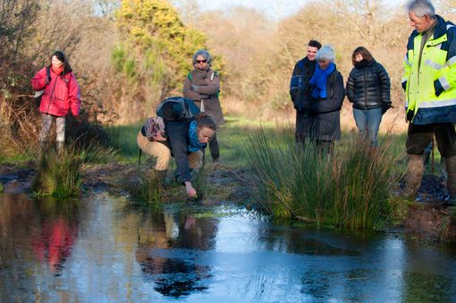 Des naturalistes bénévoles à Notre-Dame-des-Landes © Hervé Ronné
