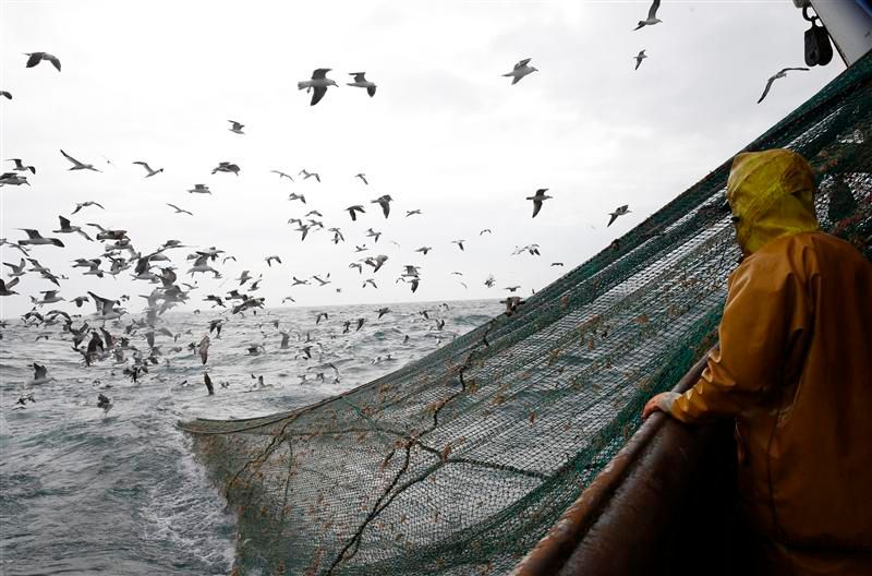 le parlement européen contre l'interdiction de la pêche en eaux profondes