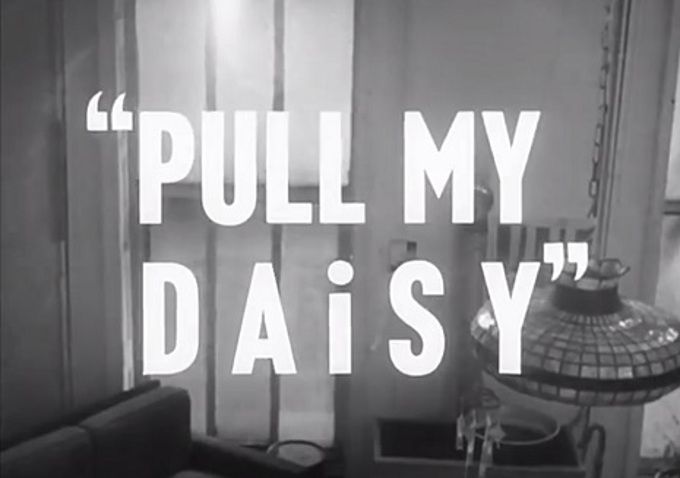 Pull My Daisy
