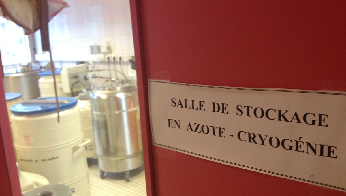 Le Chu De Nancy Lance Un Appel Au Don De Spermatozoides