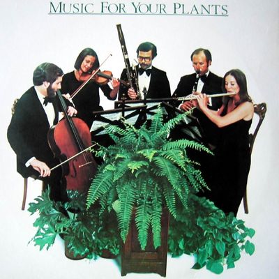Music For Your Plants