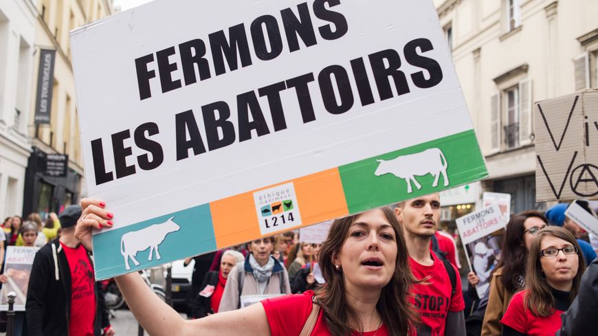 Manifestation pour la fermeture des abattoirs le 4 juin 2016 à Paris.