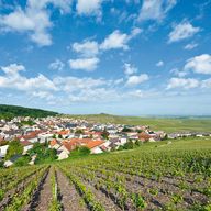Les jeunes talents du champagne ou du tourisme