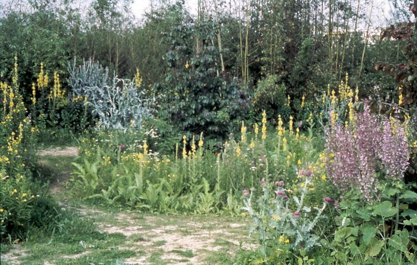 Parc André Citroën, Jardin en Mouvement, bisannuelles