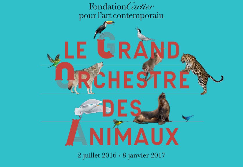 Le grand orchestre des animaux