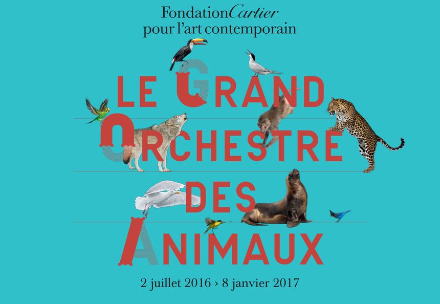 Le grand orchestre des animaux