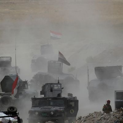 L'armée irakienne en direction de Fallouja le 10 juin 2016. L'Etat islamique serait-il en passe d'être vaincu ?