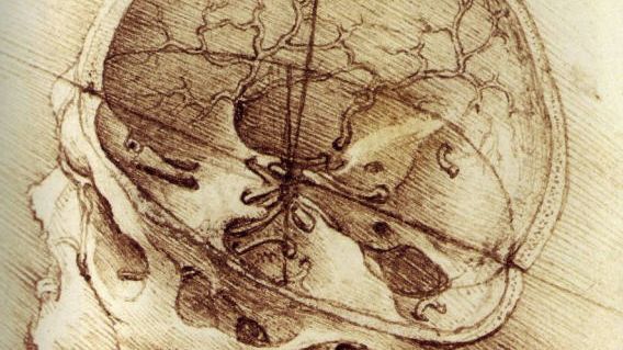Croquis