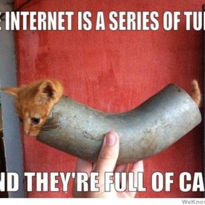 L'Internet est une série de tubes, et ils sont remplis de chats