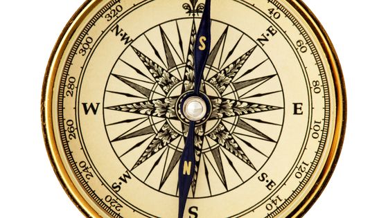 Reverse Pole Compass ©Getty - slobo
